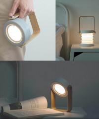 LED Lantern Light